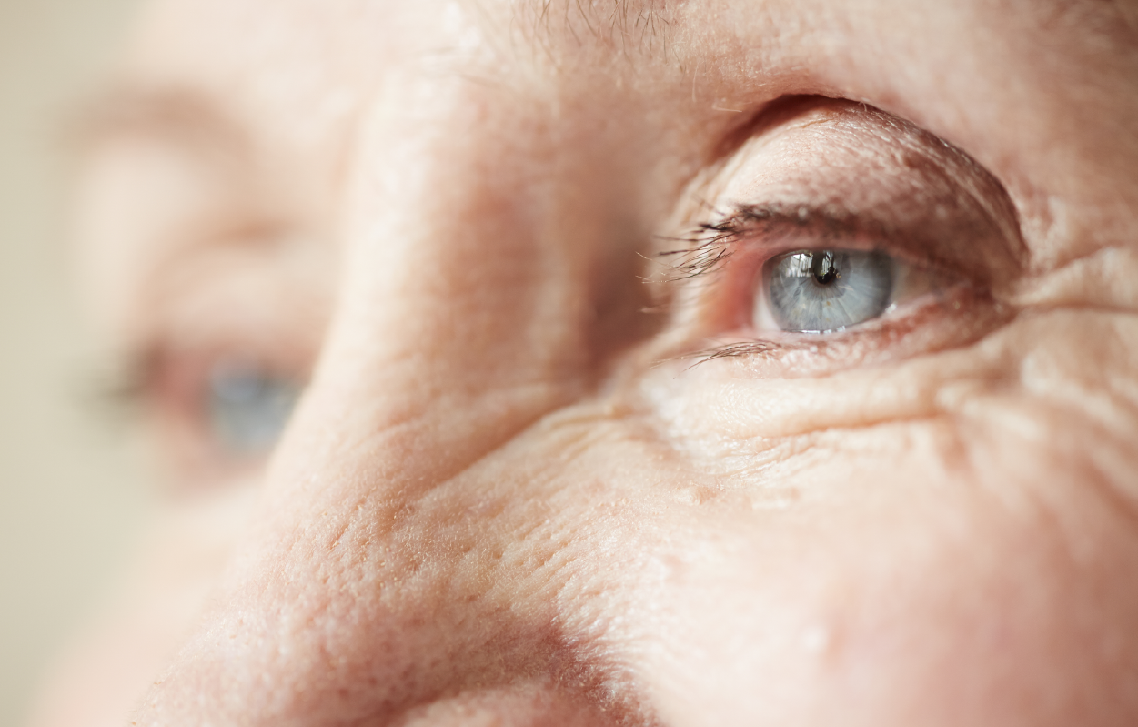Fighting blindness image of the eye